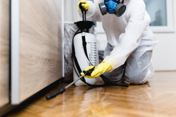 Best Cockroach Control Services  in Erma, NJ