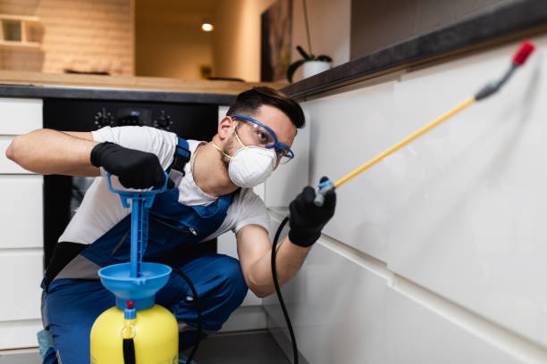 Best Flea Control Services  in Erma, NJ