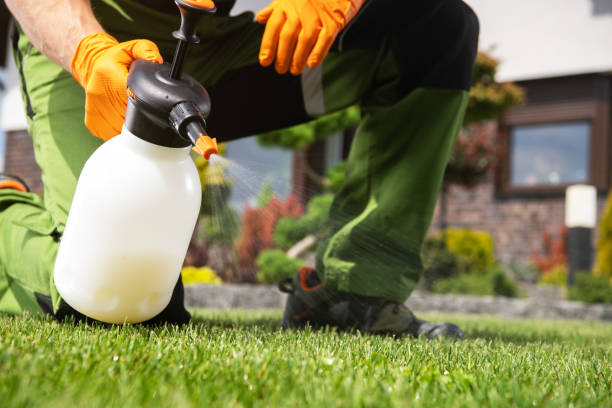 Best Flea Control Services  in Erma, NJ
