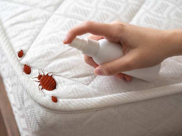 Best Cockroach Control Services  in Erma, NJ